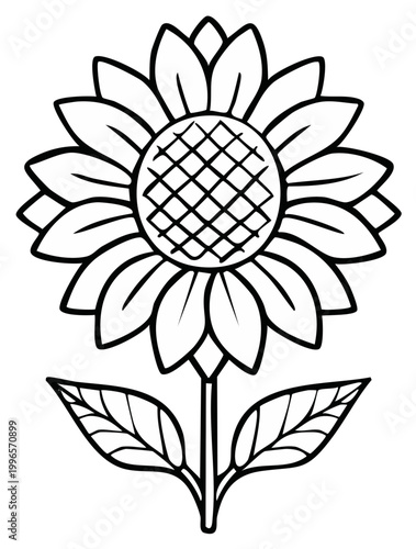 Sunflower outline illustration, elegant design, botanical graphic element on white.
