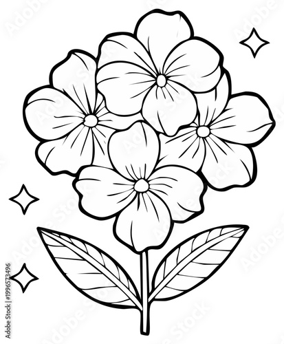 Illustration of flowering plant with leaves, stars, and blossoming details.