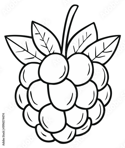 Simple Outline Drawing of a Raspberry with Leaves and Stem