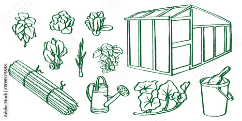 Professional gardening illustration set with greenhouse, bucket, and fresh herbs. Use this versatile design for urban farming projects, organic seed packaging, or educational nature worksheets.