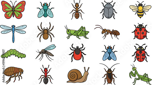 Insect collection illustration featuring various bugs butterflies beetles ants grasshopper dragonfly and garden pests colorful vector set