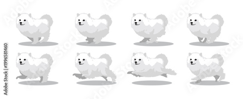 American Eskimo Dog Running Side Cartoon Animation Frame Vector
