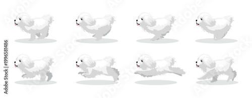 Bolognese Dog Running Side Cartoon Animation Frame Vector