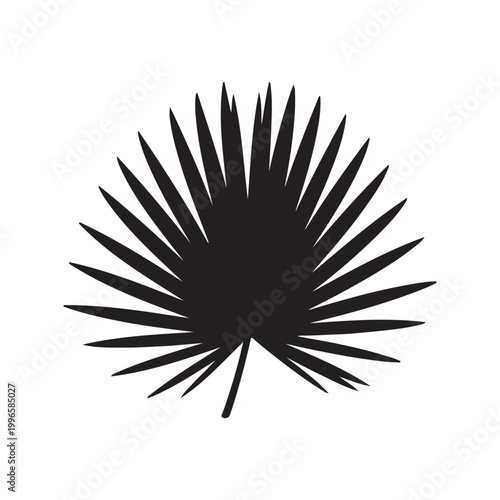 Green leaf saw palmetto silhouette vector flat illustration design.
