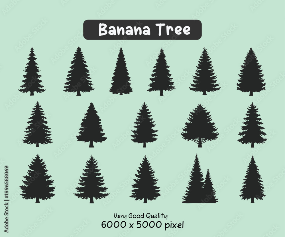 Obraz premium Coniferous Pine and Fir Tree Silhouette Collection