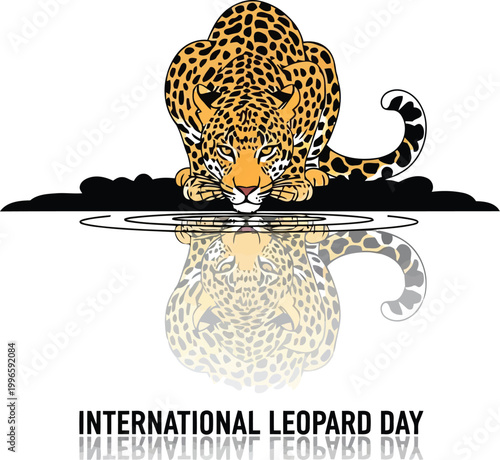 A beautiful spotted leopard drinking water with reflection for International Leopard Day celebration and awareness
