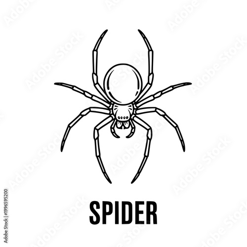 Spider Icon - Simple Line Art