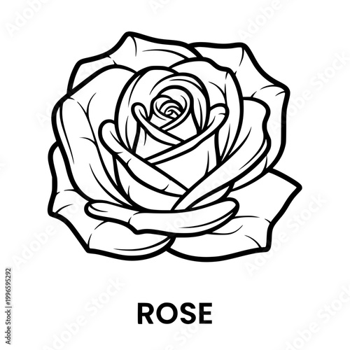 Black and White Rose Outline Drawing