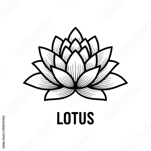 Lotus Flower Line Art