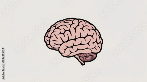 An educational banner features a detailed illustration of a brain