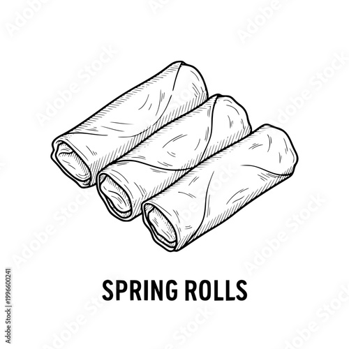 Spring Rolls Illustration