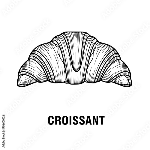 Croissant drawing illustration
