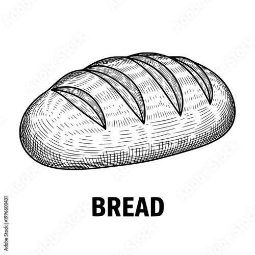 Artisan Bread Loaf Sketch