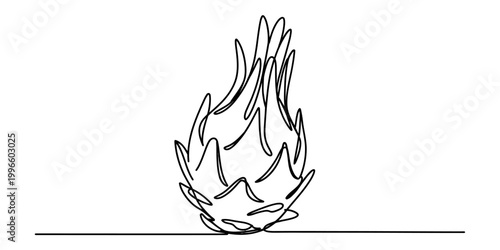 Dragon fruit line art drawing simple single line illustration