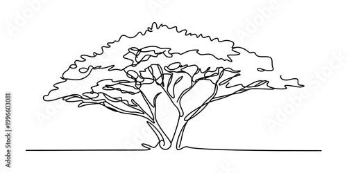 Single line drawing of a tree with a wide canopy and visible branches, minimalist art style