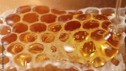 Fresh honey from the forest in a container.