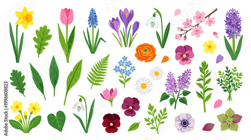 Collection of colorful spring flowers and green leaves, delicate floral elements for springtime design and decoration