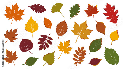 Vibrant collection of autumn leaves in various shapes and warm colors, symbolizing the fall season and natural beauty