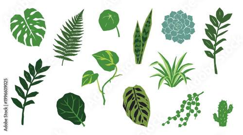 Collection of popular houseplants and succulents illustrated in a flat design style on a white background