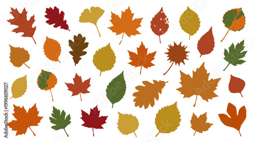 Collection of colorful autumn leaves in various shapes and sizes, representing the beauty of fall season and nature's transition