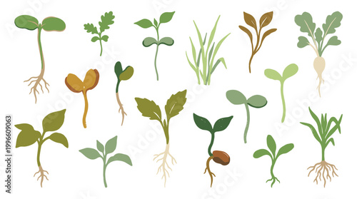 Collection of diverse young plant sprouts with roots and leaves in various stages of growth isolated on a white background symbolizing new beginnings and nature's development