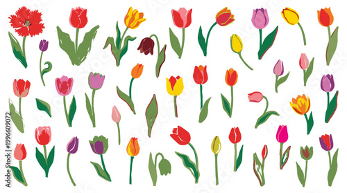 Vibrant collection of hand-drawn tulips in various colors and styles, celebrating spring and floral beauty with a charming artistic touch