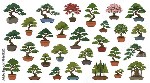 Collection of diverse bonsai trees in pots showcasing intricate miniature nature art and Japanese gardening traditions