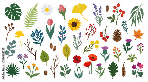 Vibrant collection of diverse botanical elements including leaves flowers and seed pods in a flat design style