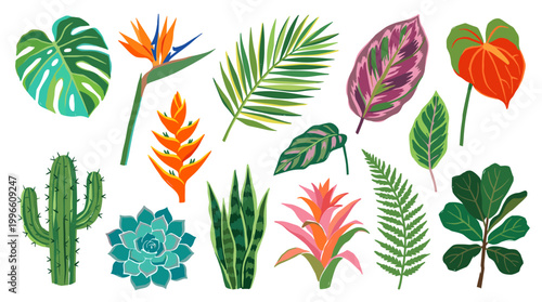 Vibrant collection of tropical and desert plants including monstera bird of paradise cactus succulent snake plant and anthurium for botanical illustration and decor