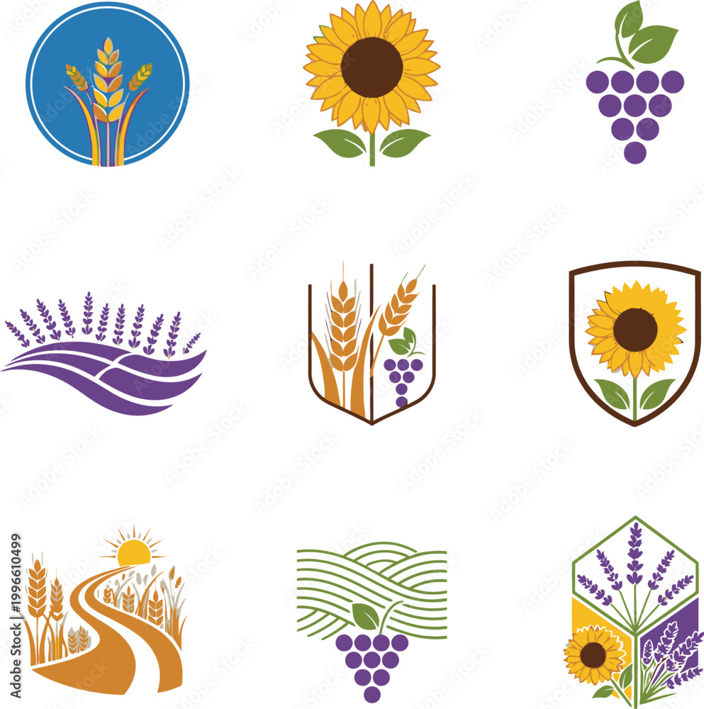 Obraz premium Agricultural icons with wheat and grapes.