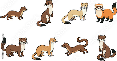 Foto Set of Cute Ferret Vector Illustrations in Different Poses for Animal, Wildlife,
