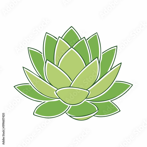 Stylized Green Succulent Plant Illustration