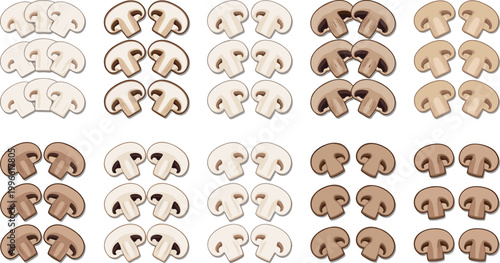Set of Mushroom Vector Illustrations in Various Styles for Food, Cooking, and Ingredient Designs