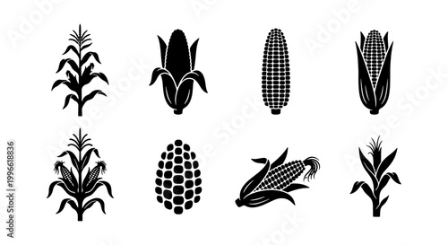 Quadro su tela Corn and Maize Agriculture Icon Set - Vector Plant and Cob Silhouettes