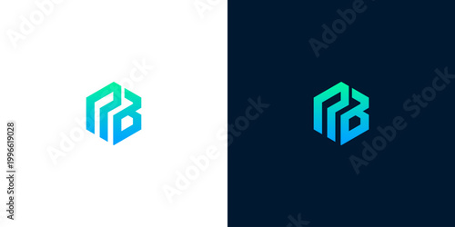 Abstract geometric 'RB' monogram logo with a gradient color transition on white and dark blue backgrounds, perfect for branding and identity design