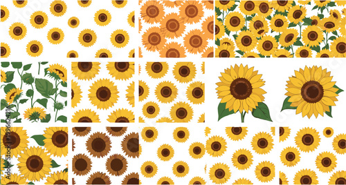 Collection of seamless sunflower patterns and floral elements with bright yellow flowers for summer textile, wallpaper, and surface design