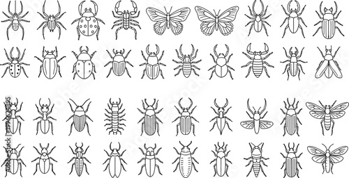 Vintage Hand Drawn Entomology Insects Set Various Beetles Moths and Arachnids
