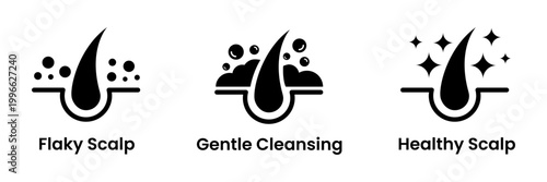 Anti dandruff icon set. Strong healthy hair line icons. Anti dandruff logo, label, badge, symbol, black, circle, line, vector, isolated illustration. Anti dandruff label for product packaging design. 