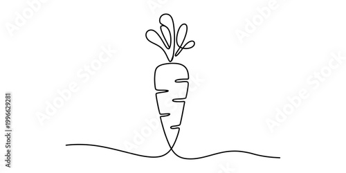 Continuous single line drawing of a fresh carrot vegetable Vector, illustration