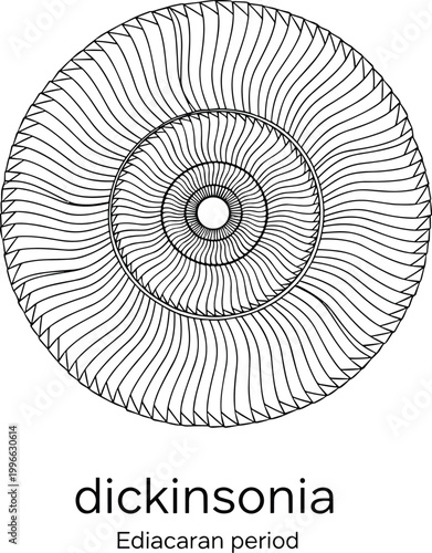 Dickinsonia Ediacaran period organism spiral pattern.