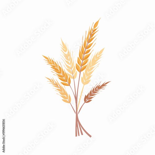 Illustration of Wheat Stalks
