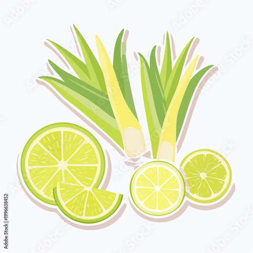 Lime Slices and Lemongrass Stalks Illustration