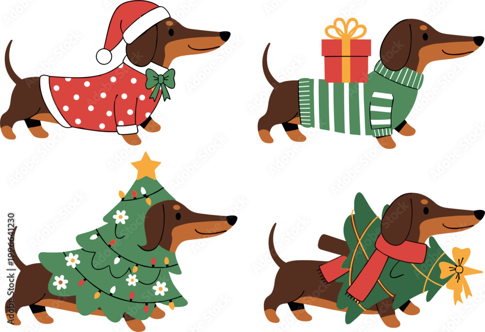 Fototapeta premium Four Adorable Dachshund Dogs Wearing Christmas Costumes Santa Hat Sweater Tree Outfit and Gift Box Vector Set
