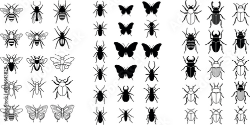 Hand Drawn Insect Silhouettes Set of Bees Butterflies Beetles Spiders and Flies