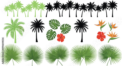 Tropical palm trees, palm leaves and exotic flowers collection with monstera and bird of paradise plants vector illustration set