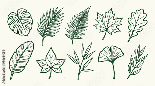 Collection of ten different types of green leaves, hand-drawn in a simple, elegant style on a light background.