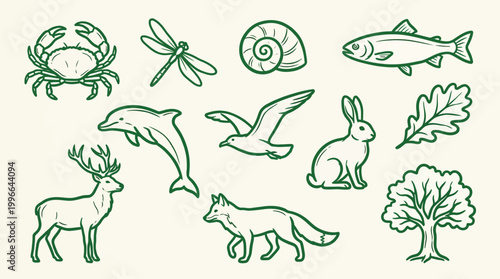 A collection of hand-drawn illustrations featuring various animals, plants, and natural elements in a simple green outline style on a cream background.