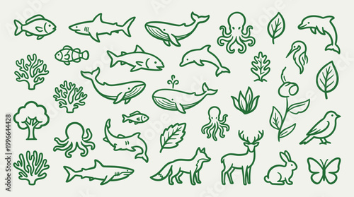 A charming collection of hand-drawn illustrations featuring a variety of marine life, land animals, and botanical elements, all rendered in a simple, green outline style.