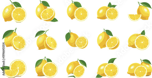 Lemon fruit collection with whole and sliced citrus illustrations for fresh food, beverage design, and summer tropical projects