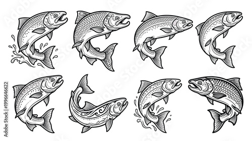 Set of salmon fish jumping, hand drawn vector illustration